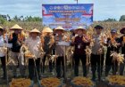 Kapolda Sumbar Pimpin Panen Raya Jagung Serentak, Tegaskan Dukungan Polda Sumbar untuk Swasembada Pangan Nasional