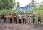 Polres Sijunjung Gelar Panen Raya Jagung, Perkuat Peran Polri Dukung Swasembada Pangan Nasional