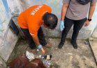 Kantor PWI Solok Selatan Dirusak OTK, Polisi Turun Tangan Lakukan Olah TKP dan Kumpulkan Barang Bukti