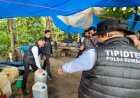 Ditreskrimsus Polda Sumbar Bongkar Dugaan Mafia Solar Subsidi di Solok, Puluhan Jeriken Diamankan