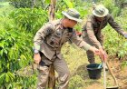Aksi Penanaman Pohon dan Penyaluran Sembako Warnai Latihan Jungle Warfare Satbrimob Polda Sumbar di Solok