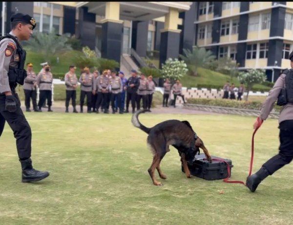 Simulasi K9 Polda Sumbar: Ketangkasan Unit Satwa Pelacak Narkotika Sukses Edukasi Peserta Upacara